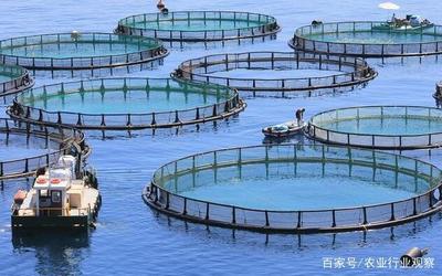 水產養殖迎來大考 國家定調綠色養殖，水產品養殖業轉型升級