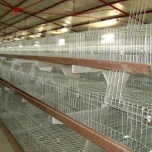 獲嘉縣振華牧業(yè)設備廠助力水產(chǎn)品養(yǎng)殖發(fā)展