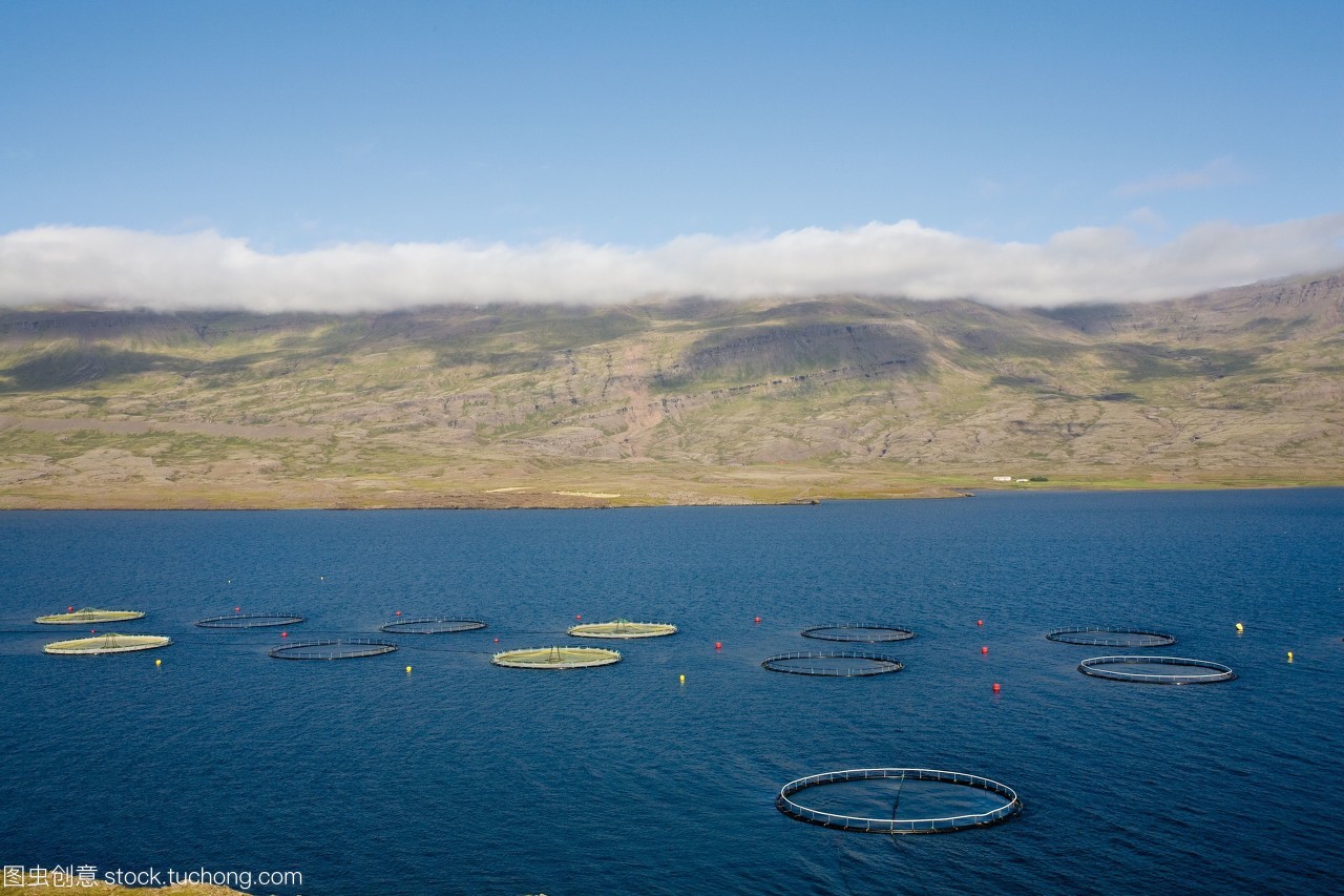 冰島水產(chǎn)養(yǎng)殖業(yè)的可持續(xù)發(fā)展與創(chuàng)新