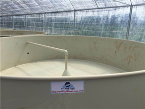 工廠化水產(chǎn)養(yǎng)殖設(shè)計(jì) 高效節(jié)水節(jié)地，引領(lǐng)生態(tài)環(huán)保新潮流