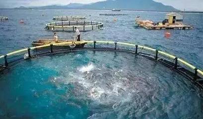 水產(chǎn)養(yǎng)殖新規(guī)出臺(tái)，是挑戰(zhàn)更是機(jī)遇 凈水漁業(yè)引領(lǐng)產(chǎn)業(yè)未來