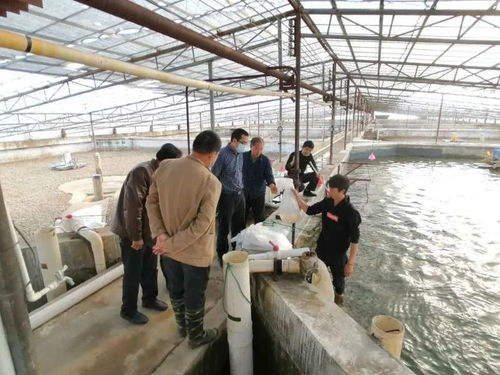 九江水產 產得出、運得走、不積壓、不賣難，力促產業平穩有序發展