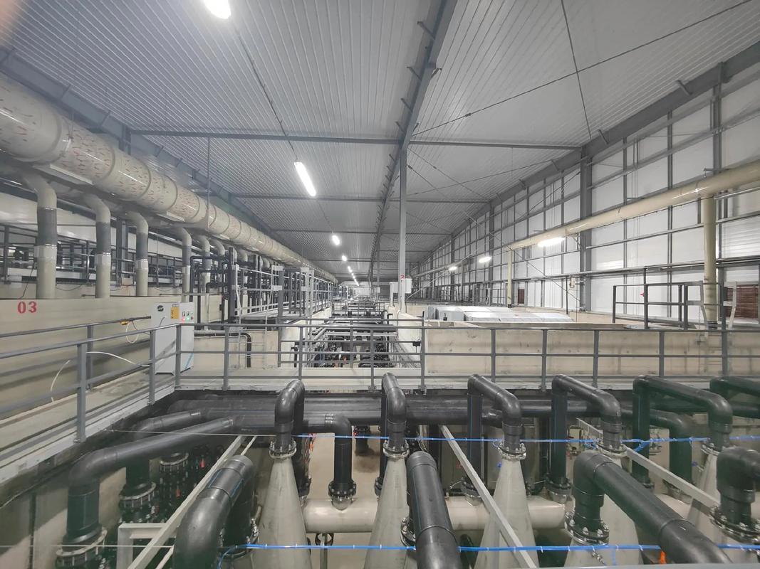 探訪全球最大單體鰻魚工廠化養殖基地 福建匯澤漁業如何引領水產品養殖新風尚