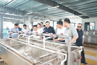 傳承紅色基因 服務藍色經濟——省海洋與漁業局組織紀念建軍90周年活動