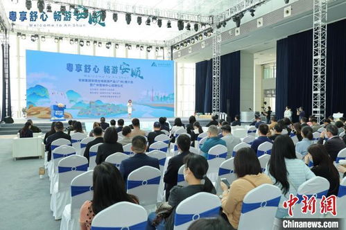 嶺南風(fēng)韻，活力羊城 社會組織打造特色文旅項(xiàng)目，點(diǎn)燃城市文化新熱度