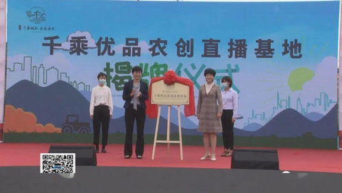 呂藝鎮(zhèn)啟動紅色高家渡文化旅游暨萬壽菊賞花活動，以花為媒深化文化藝術(shù)交流